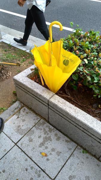 【北新地】PELLE MORBIDAスペシャルコラボおそうじin心斎橋【コラボおそうじ】画像