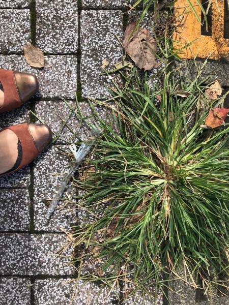 久しぶりのおそうじです！画像