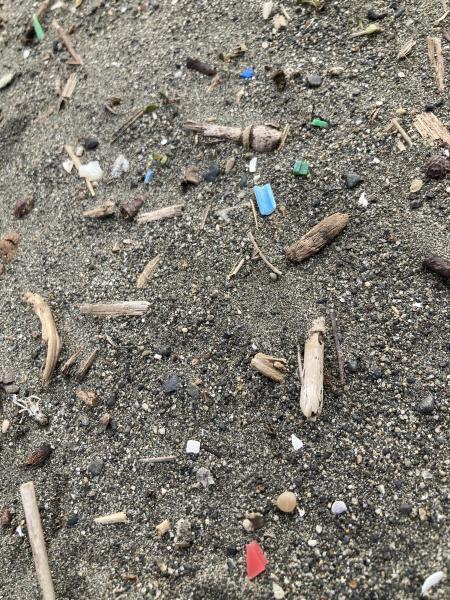 マイクロプラスチック拾うのって楽しい！画像