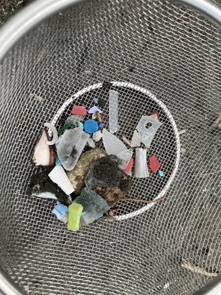 マイクロプラスチック拾うのって楽しい！画像