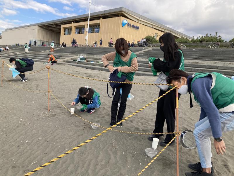 マイクロプラスチック拾うのって楽しい！画像