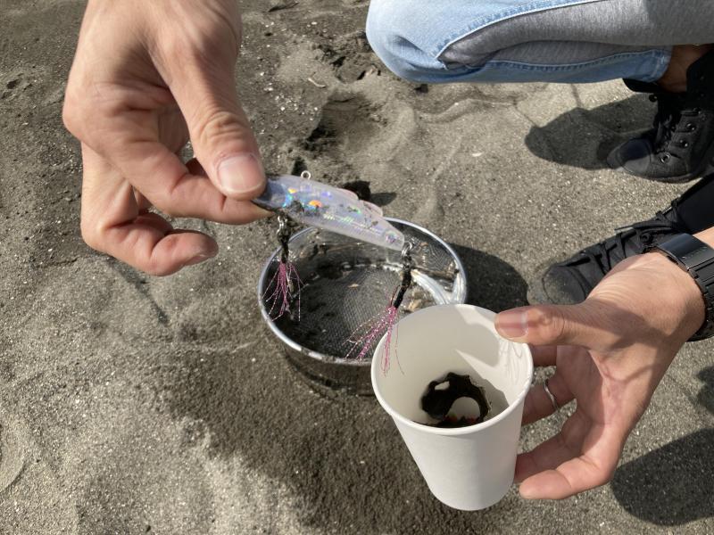 マイクロプラスチック拾うのって楽しい！画像