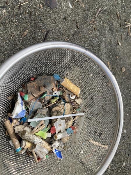 マイクロプラスチック拾うのって楽しい！画像