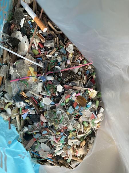 マイクロプラスチック拾うのって楽しい！画像