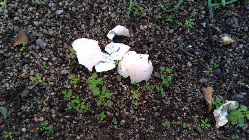 【北新地】実は8周年を迎えてた定例おそうじ【10月第4土曜日】画像