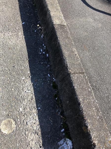 奈良五條チーム★定例おそうじ日画像