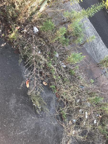 奈良五條チーム★定例おそうじ日画像