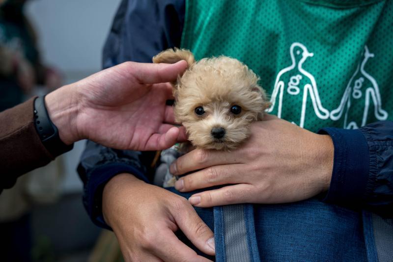 大学生の方達が来てくれた！！画像