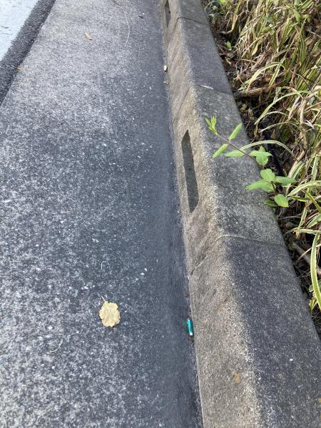 久しぶりの街ゴミ拾い！画像