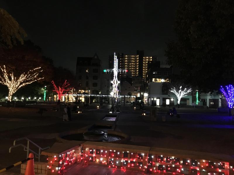 ラスト2回ですー画像