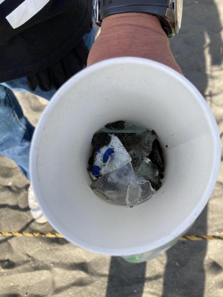 江の島片瀬西浜ビーチクリーン活動報告画像