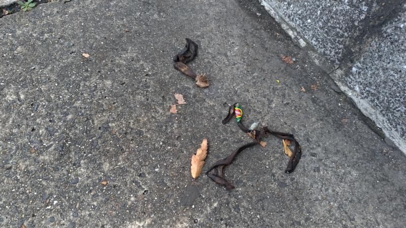 【北新地】色々と大変な中の定例おそうじ【11月第4土曜日】画像