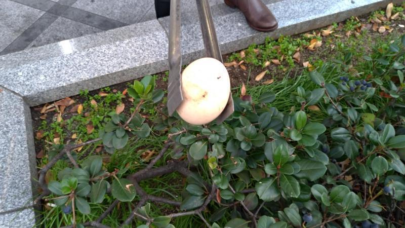 【北新地】色々と大変な中の定例おそうじ【11月第4土曜日】画像