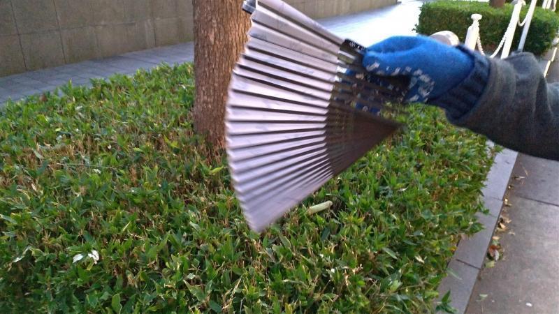 【北新地】色々と大変な中の定例おそうじ【11月第4土曜日】画像