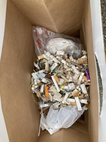 12月の街ゴミ拾いは子ども達が大活躍！画像