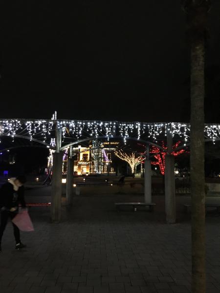 2020年ラストー(・)>!画像