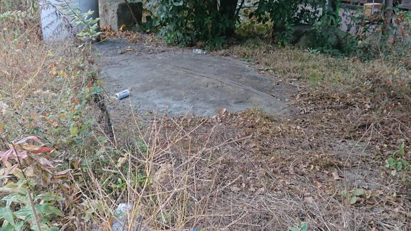 【杉田】定期清掃画像