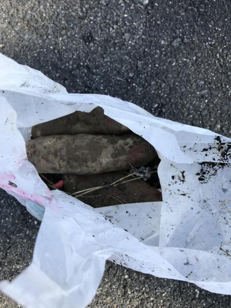 ★2020年最後の大掃除★奈良五條チーム画像