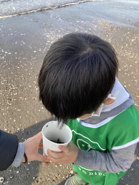 今日はマイクロプラスチックよりもガラス片画像