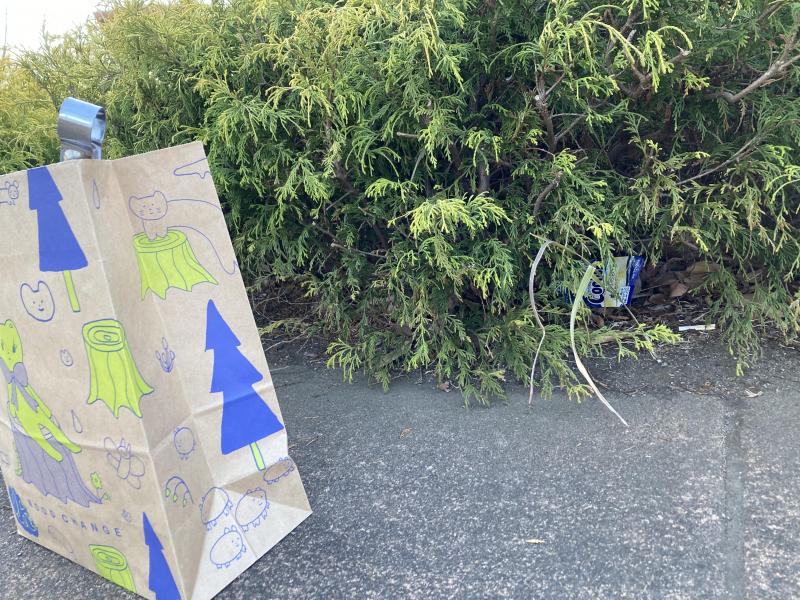 ゴミ拾いしたら街もココロもスッキリして免疫力アップ画像