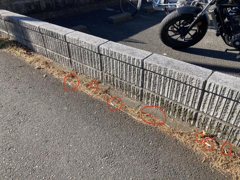 ゴミ拾いしたら街もココロもスッキリして免疫力アップ画像