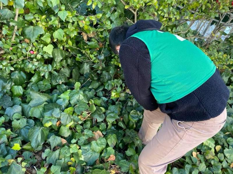 【井土ヶ谷】定期清掃画像