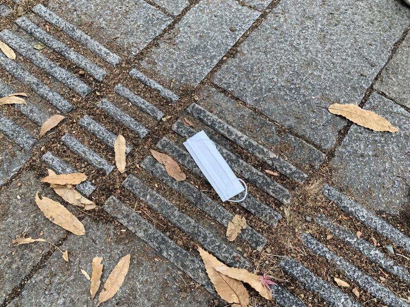 12/27(日)日曜昼前そうじ@佐賀市どん3の森画像