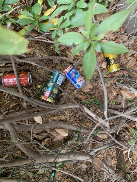 12/27(日)日曜昼前そうじ@佐賀市どん3の森画像