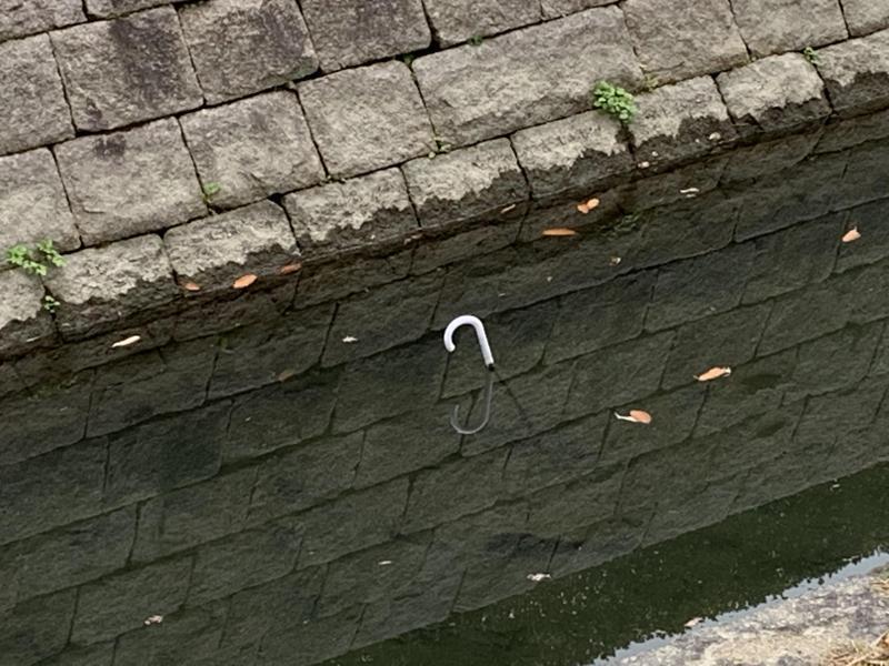 12/27(日)日曜昼前そうじ@佐賀市どん3の森画像