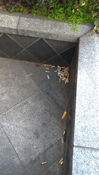 【北新地】遅咲きになった新春の定例おそうじ【2月第4土曜日】画像