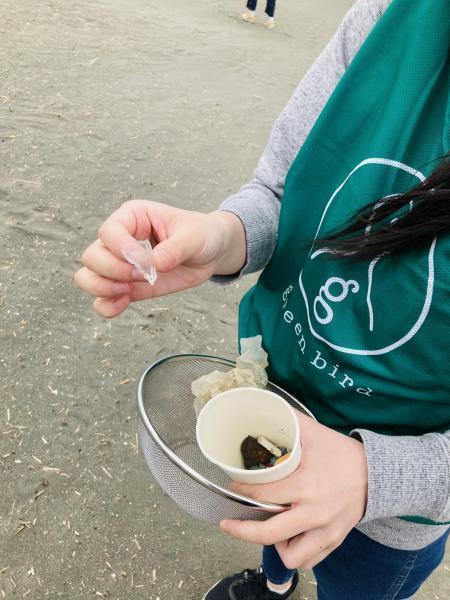 江の島でマイクロプラスチックビーチクリーン！画像