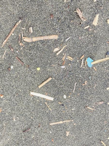 江の島でマイクロプラスチックビーチクリーン！画像