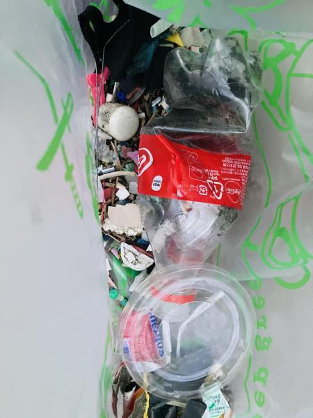 江の島でマイクロプラスチックビーチクリーン！画像