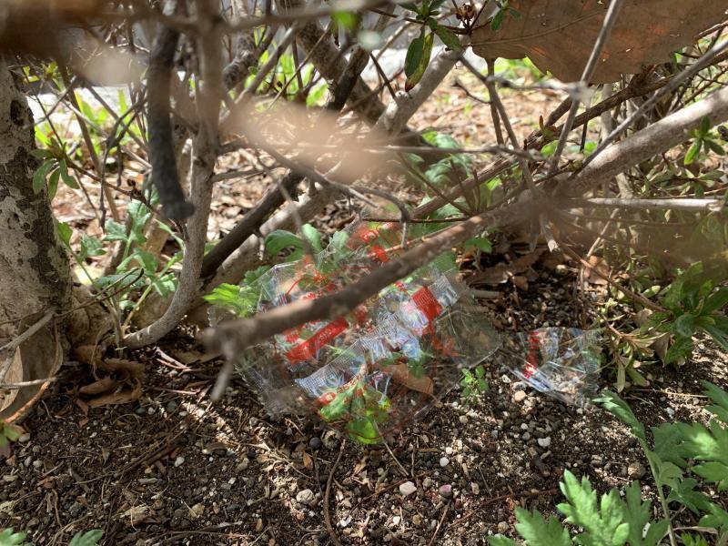 2/28(日)日曜昼前そうじ@佐賀市どん3の森画像