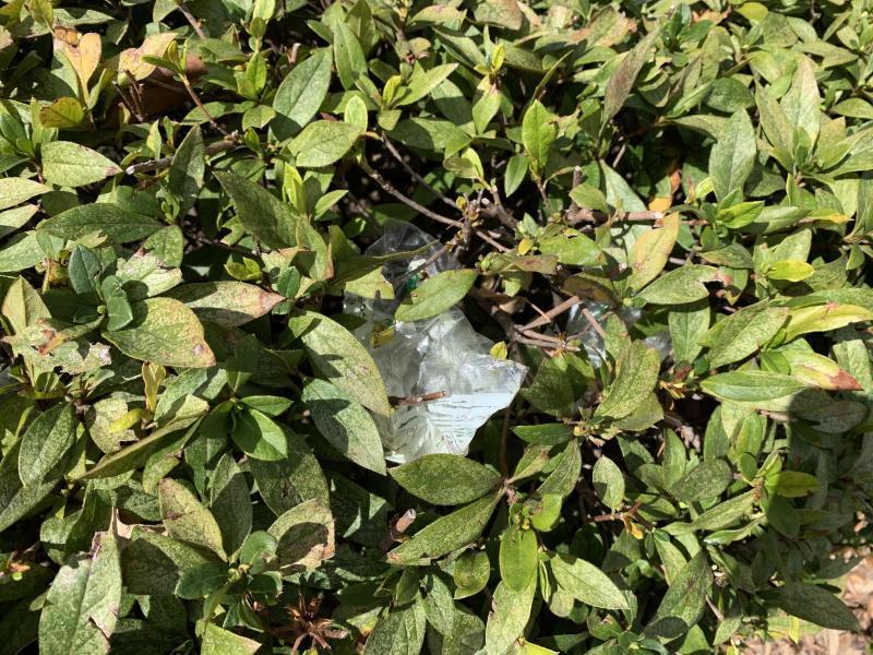 2/28(日)日曜昼前そうじ@佐賀市どん3の森画像