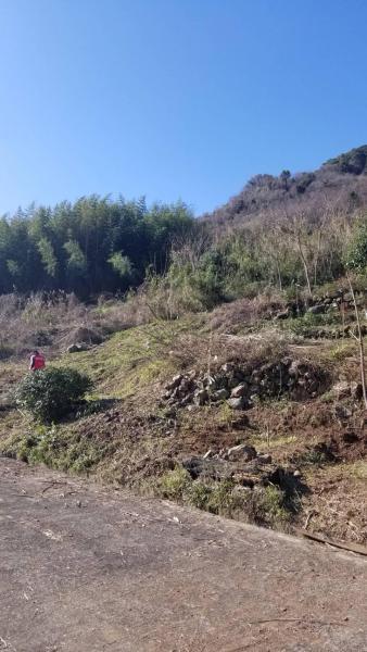 2/13(土)多久桜舞う里山植樹プロジェクトそうじ画像