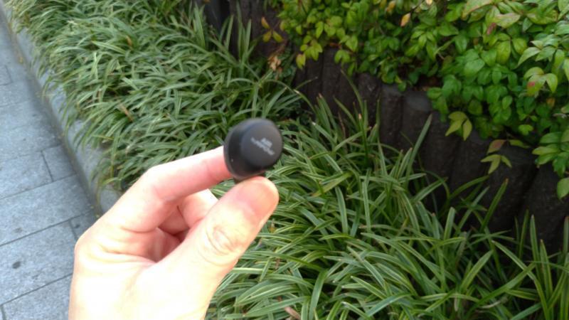 【北新地】ぽかぽか陽気の定例おそうじ【3月第4土曜日】画像