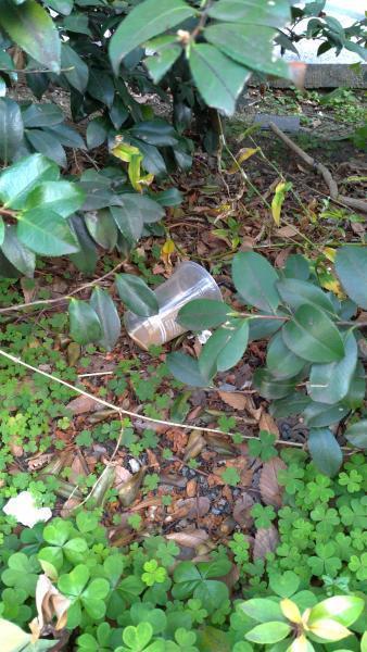 【北新地】ぽかぽか陽気の定例おそうじ【3月第4土曜日】画像