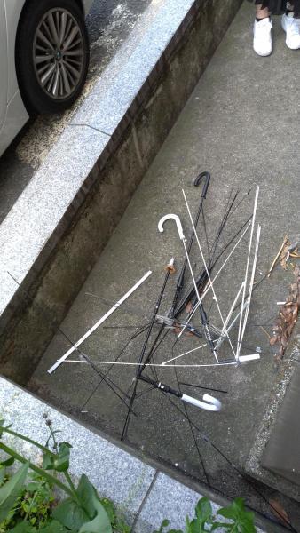 【北新地】ぽかぽか陽気の定例おそうじ【3月第4土曜日】画像