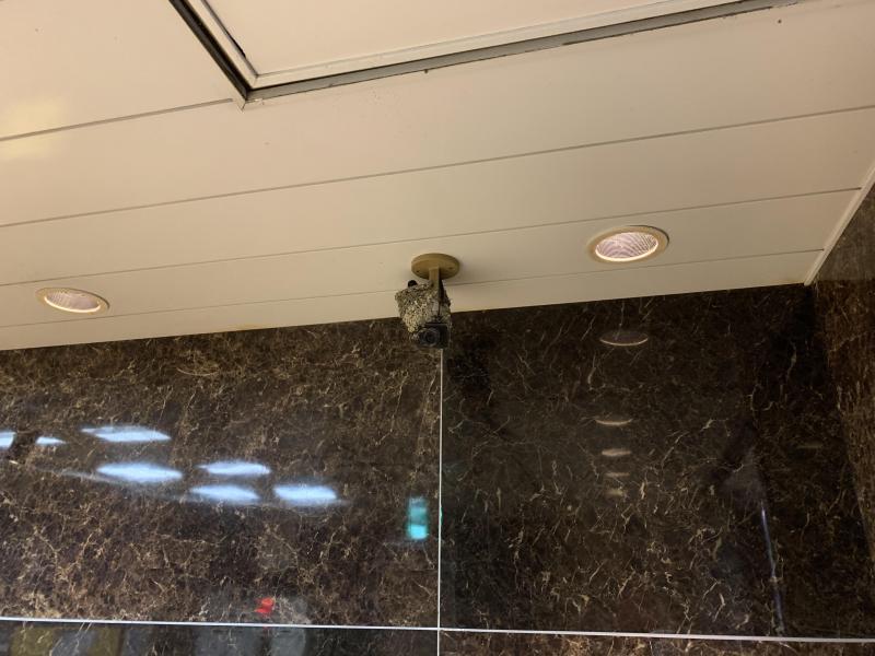 3/31(水)夜そうじ@佐賀市まちなか画像