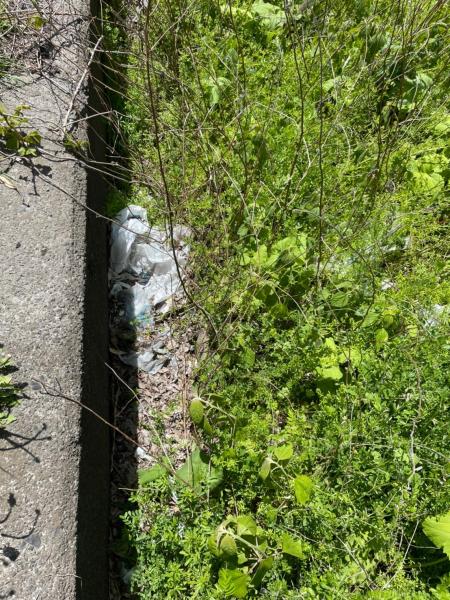 聖火ランナーの為にキレイに☆彡画像