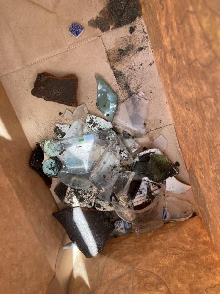 湘南！江の島片瀬西浜海岸ビーチクリーン！画像