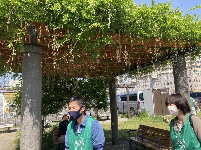 久しぶりの街ゴミ拾い！画像