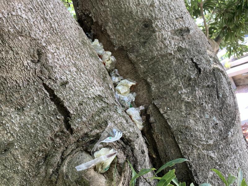 4/25(日)さが日曜昼前そうじ画像