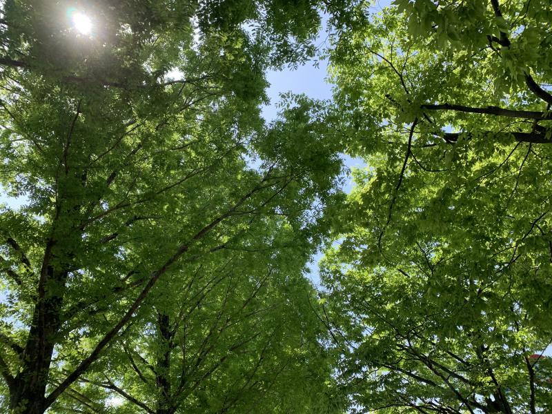 4/25(日)さが日曜昼前そうじ画像