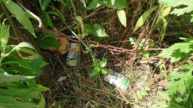 【杉田】定期清掃　☆磯子リビングラボコラボ清掃☆画像