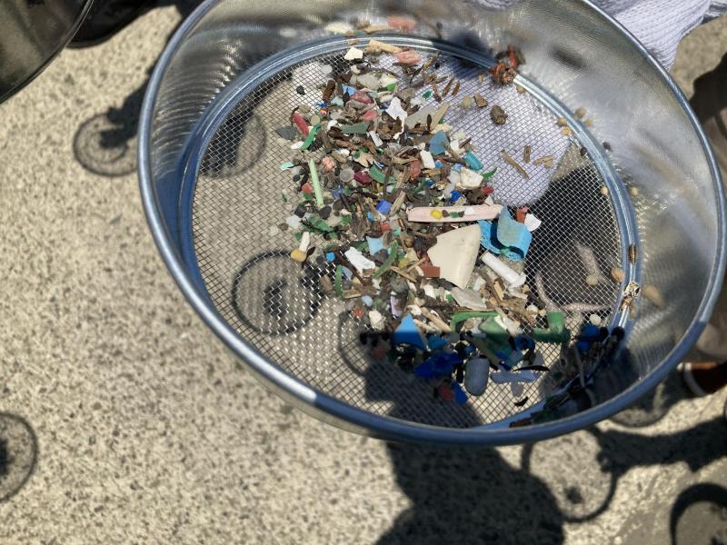 【今日はマイクロプラスチックの日】片瀬西浜ビーチクリーン画像