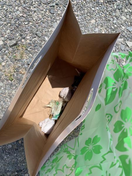 5/23 日曜昼間そうじ@佐賀市どん3の森画像