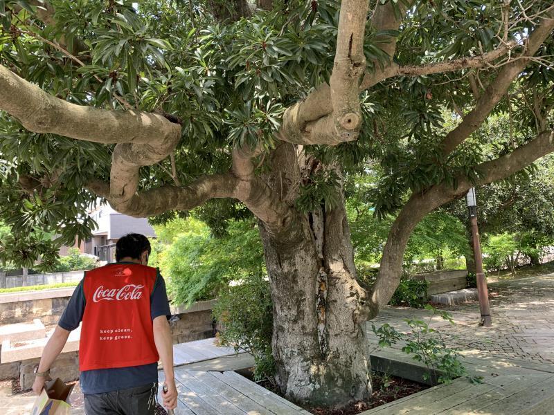 5/23 日曜昼間そうじ@佐賀市どん3の森画像