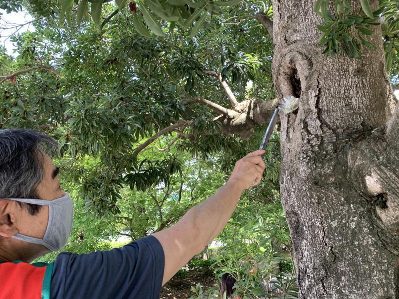 5/23 日曜昼間そうじ@佐賀市どん3の森画像